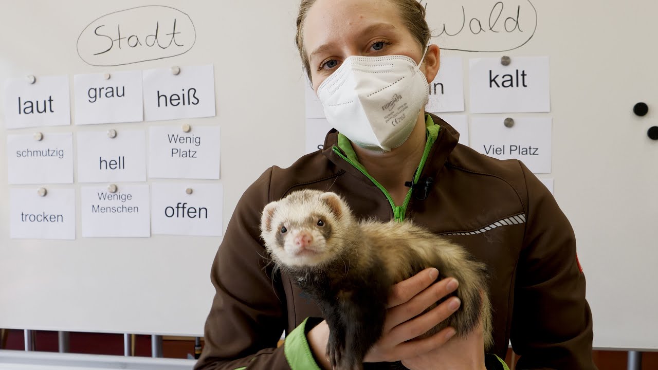 Waldschule startet Onlineunterricht &uuml;ber 