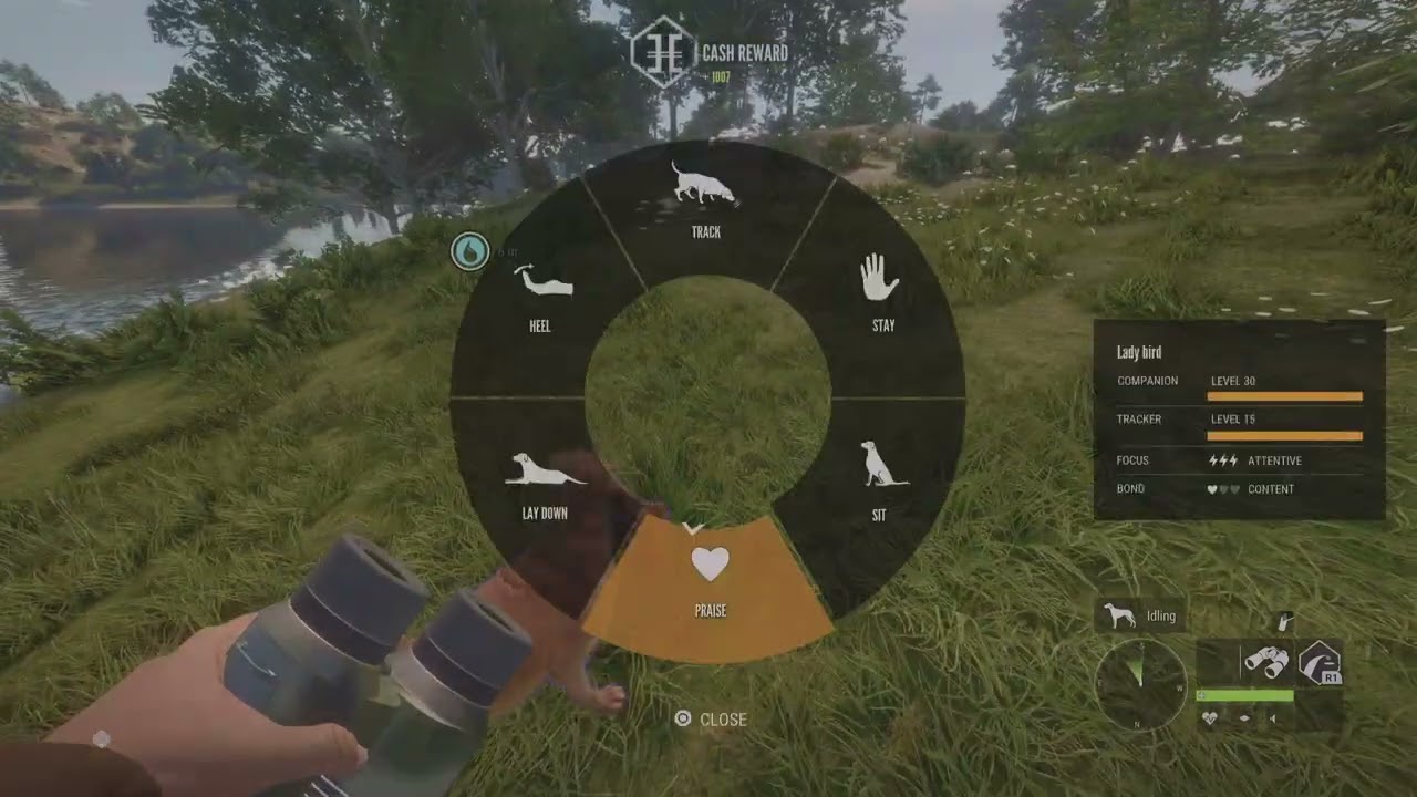 theHunter: Call of the Wild - Diamond Beceite Ibex