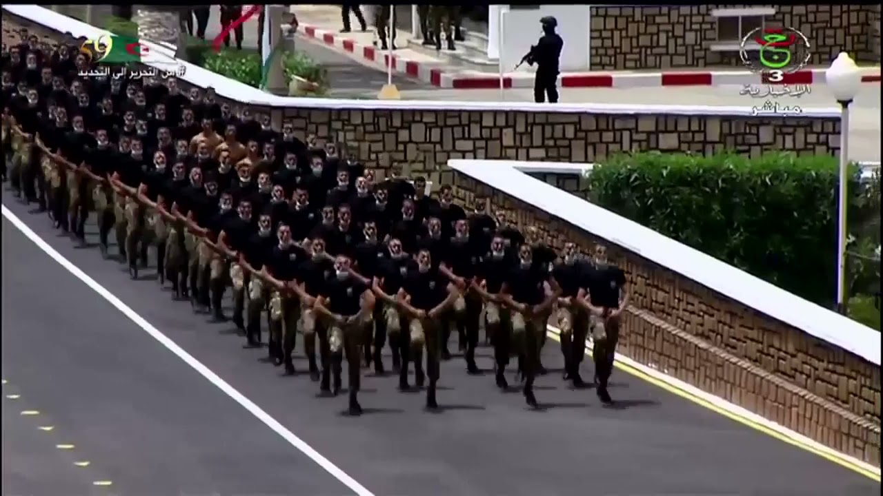 Cherchell:  présentation d'une parade militaire mettant en exergue différents sports de combats