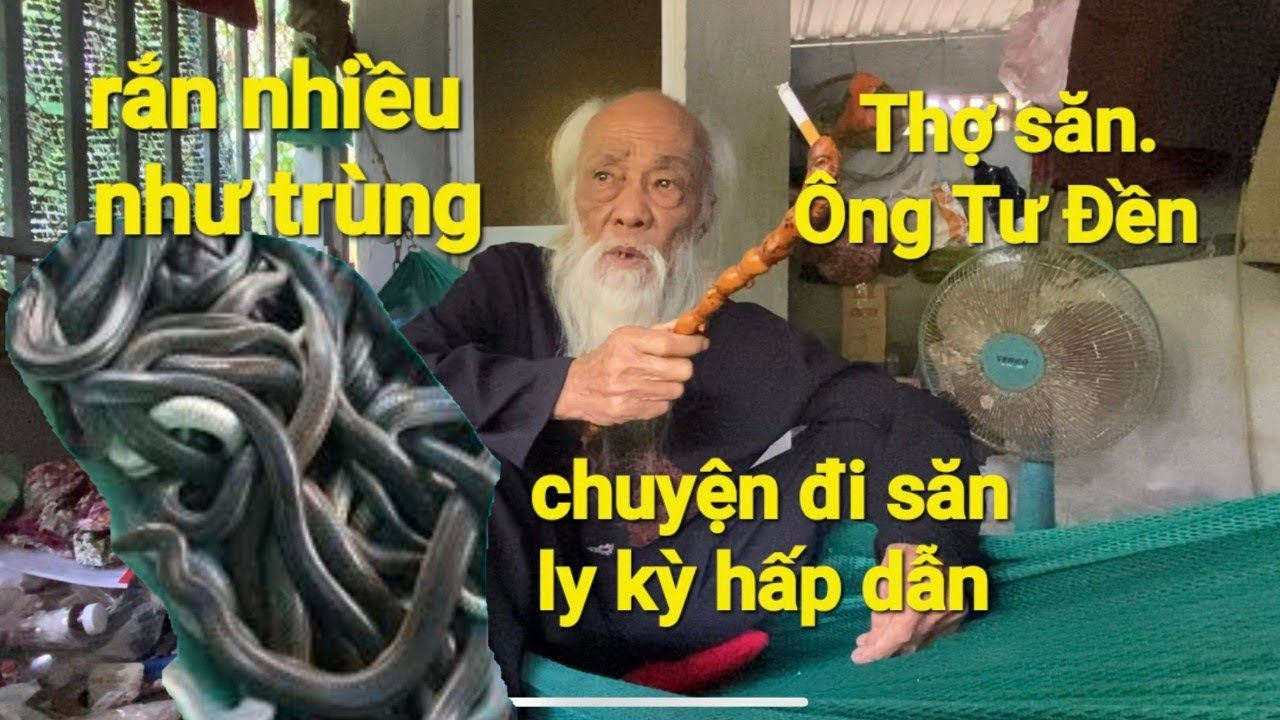 Thợ săn( Ông Tư Đền) ly kỳ hấp dẫn chuyện đi săn đầy kịch tính của ông tư.