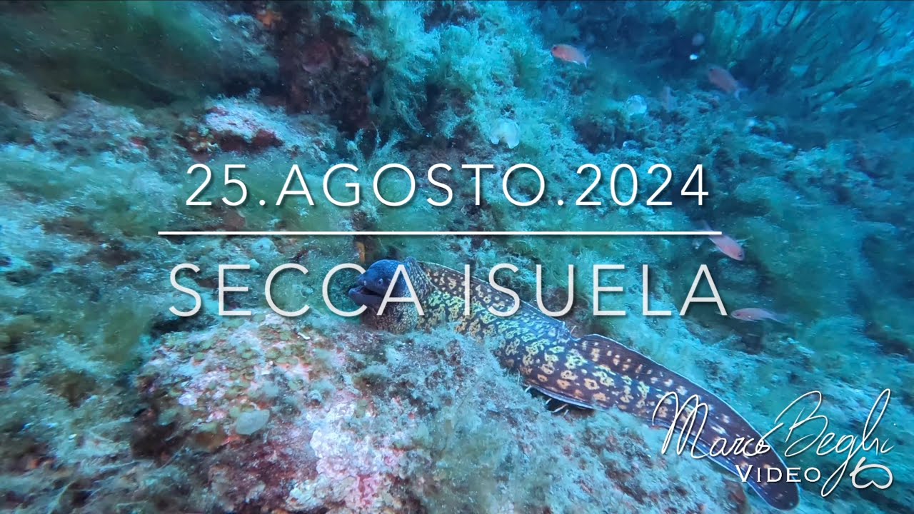 25.08.24 Secca Isuela, AMP Portofino, Genova, Italy