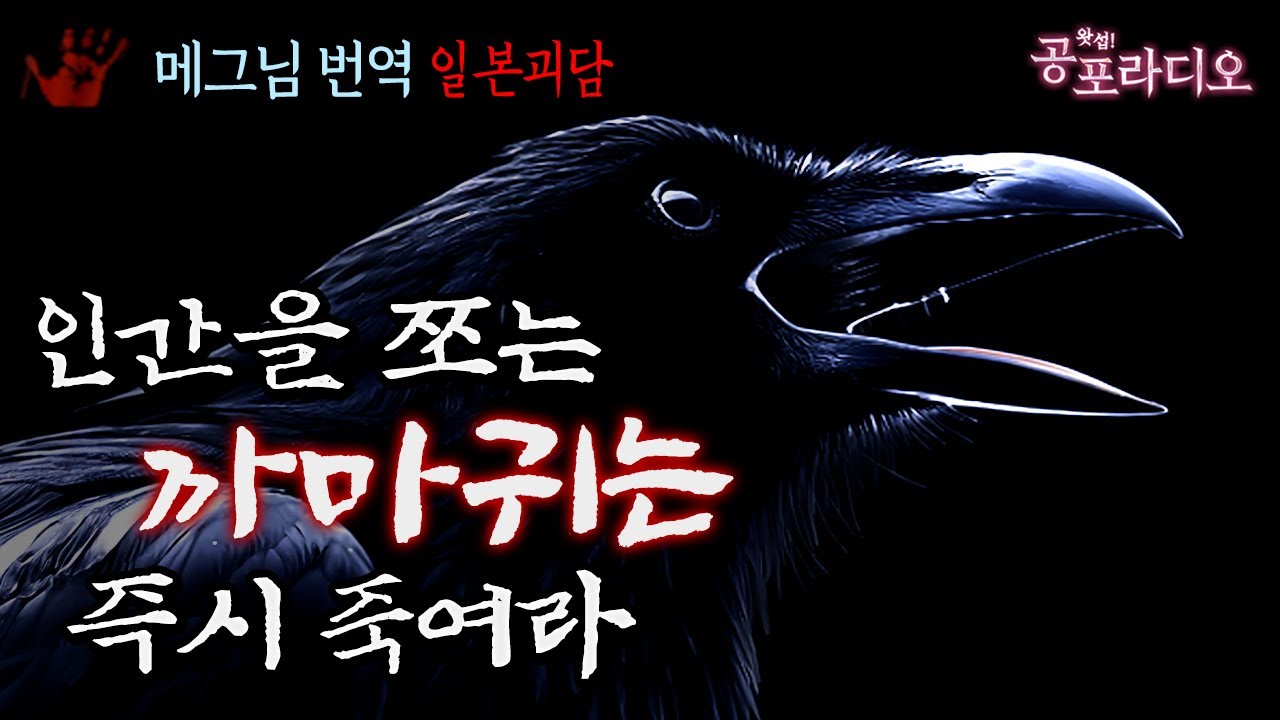 인간을 쪼는 까마귀는 즉시 죽여라｜왓섭! 공포라디오