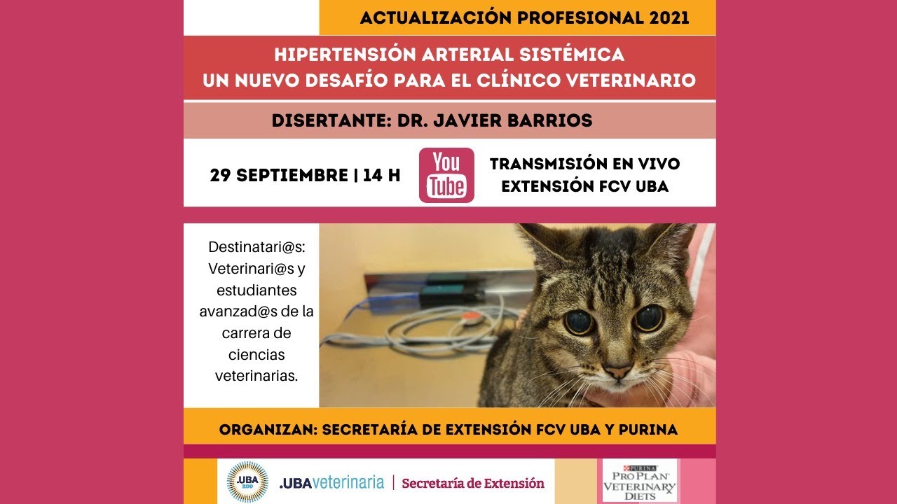 Actualización Profesional 2021 - Hipertensión Arterial Sistémica