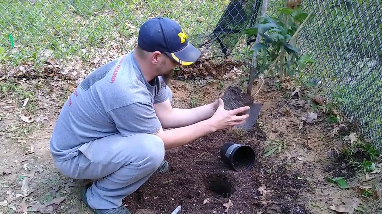 2022 outdoor grow part 2 episode 1