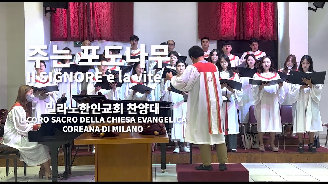 주는 포도나무 / Il SIGNORE è la vite / 조혜영 작사 작곡 (21/08/22)