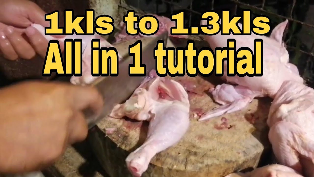 Paano mag hiwa ng manok, 1kls hanggang 1.3kls, all in 1 tutorial.