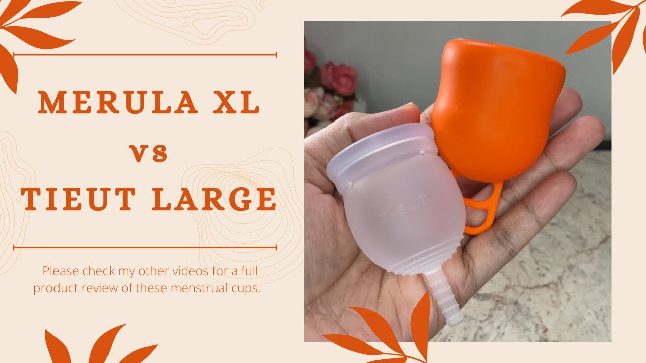 MERULA XL vs TIEUT : Squish Comparison