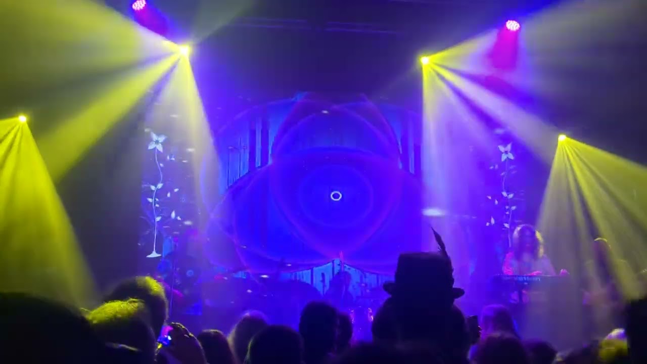 Ozric Tentacles
