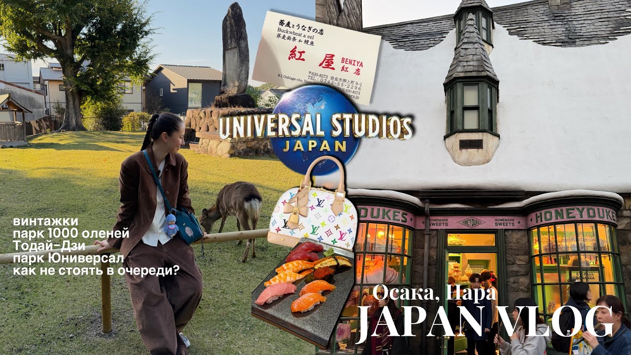 Влог из Японии! Осака, Нара / парк Universal, винтажки, Гарри Поттер и мои рекомендации!