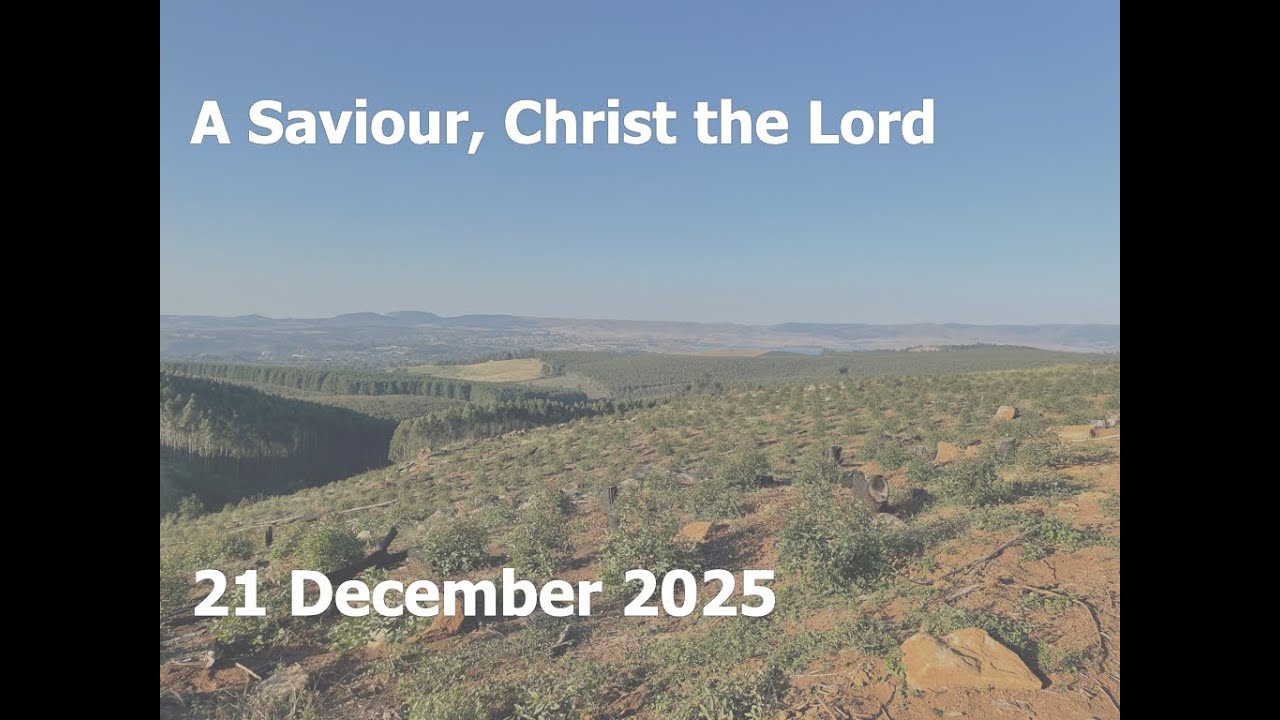 21 December 2025