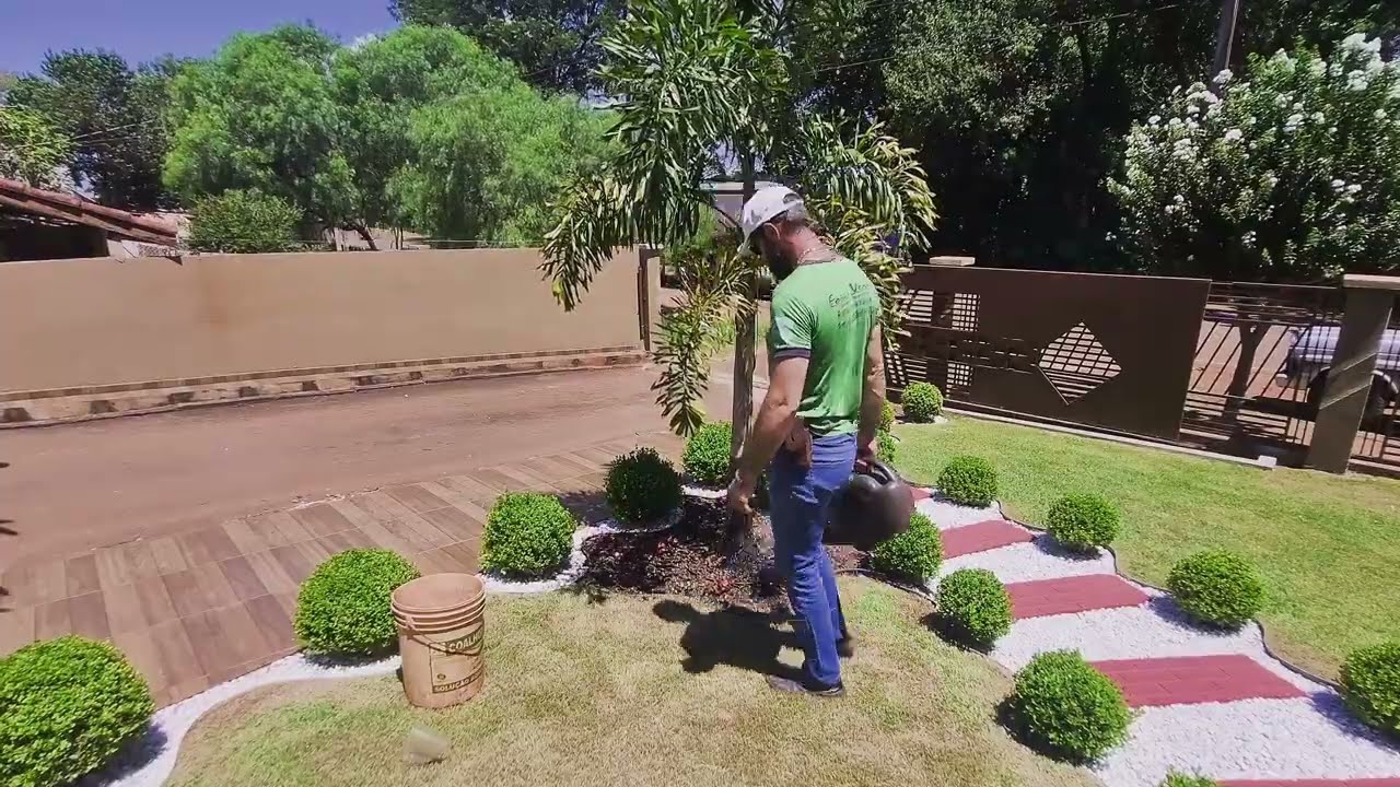 Como aumentar a floração das plantas no canteiro do seu jardim 