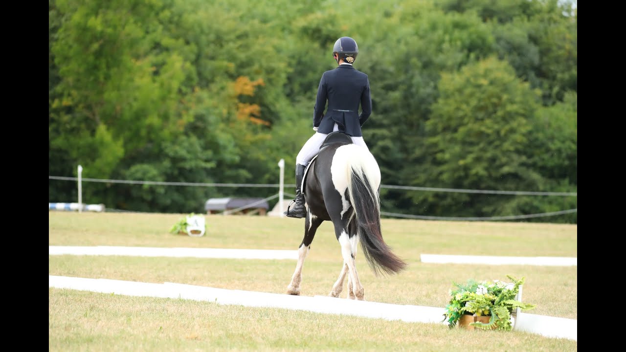 Pony Club Open Championships Test 2018 Cherokee 2nd Place 69.38%