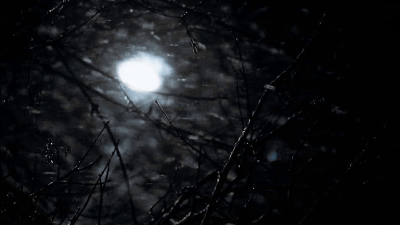 The Algorithm - Euclidean Space