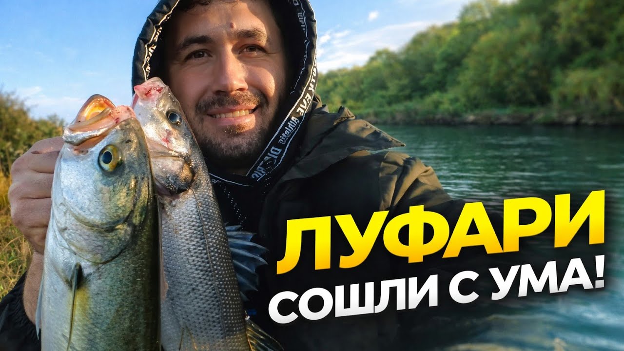 ЛУФАРИ в реке, впервые такое вижу ! | Рыбалка в Греции