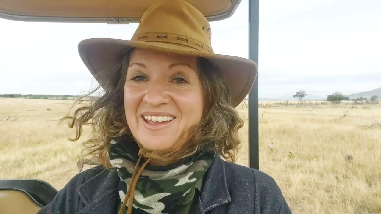 Live Virtual Wildlife Safari in South Africa