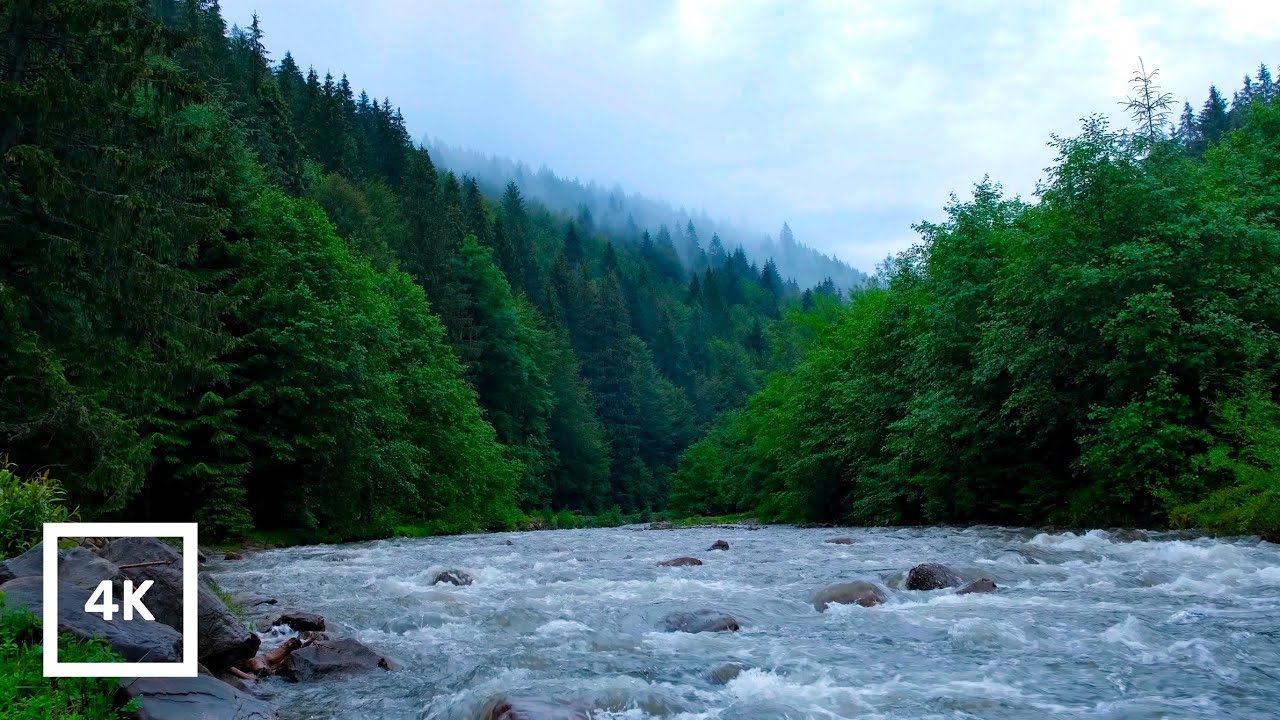 Misty Forest Mountain River Rapids | 4K White Noise Nature Sounds for Sleep and Relaxation