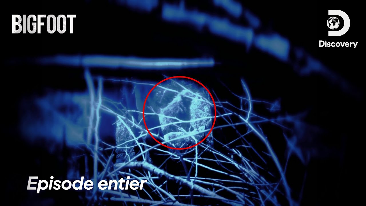 Bigfoot au Kansas : Des empreintes géantes dans la neige ! Bigfoot