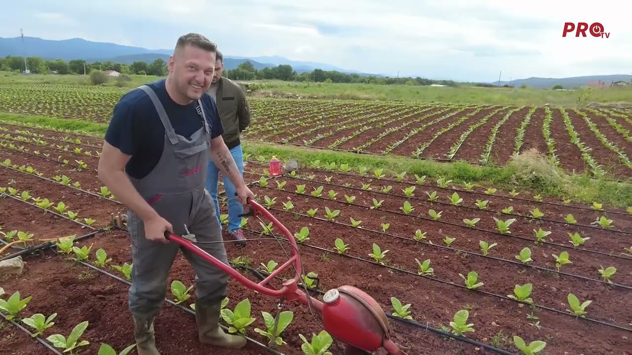 8 SATI U UNIFORMI PA 8 U POLJU - PRIČA O ANTI ZADRI