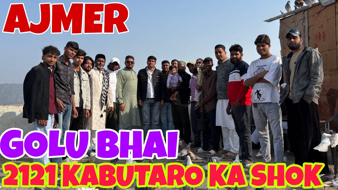 🔴 2121 Kabutaro ka Shok 🔥😱||  Golu Bhai ||📍Location Ajmer ||