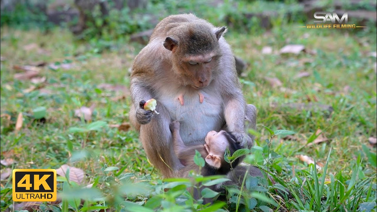 SPRING: Not Every Time Is Breastfeeding Time