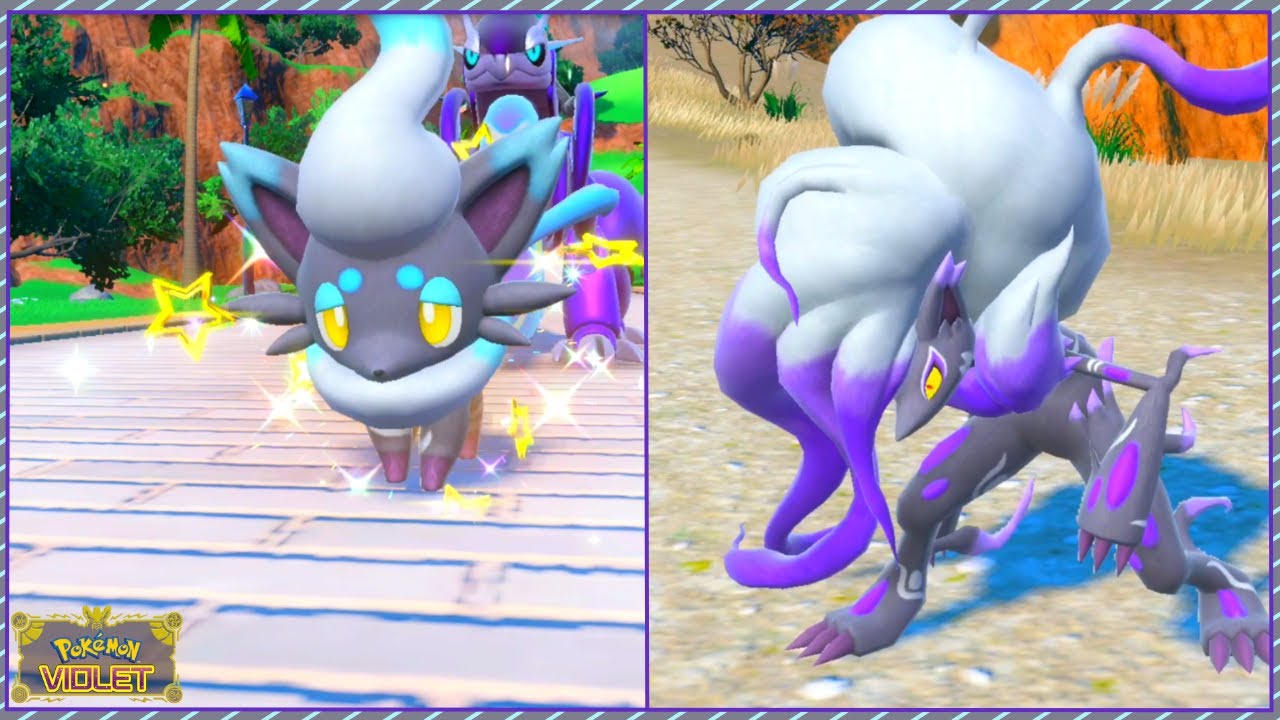 [Live] Shiny Hisuian Zorua after 318! eggs + Shiny Hisuian Zoroark  [Pokemon Violet] (Masuda Method)