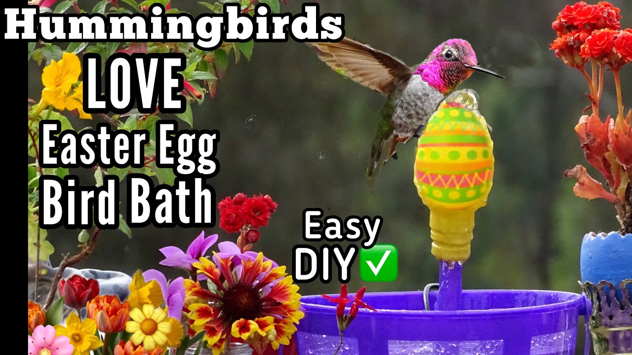 How to Make Hummingbird ENDLESS Water Fountain Solar Powered EGG Bird Bath Hummingbirds LOVE ❤️ EASY
