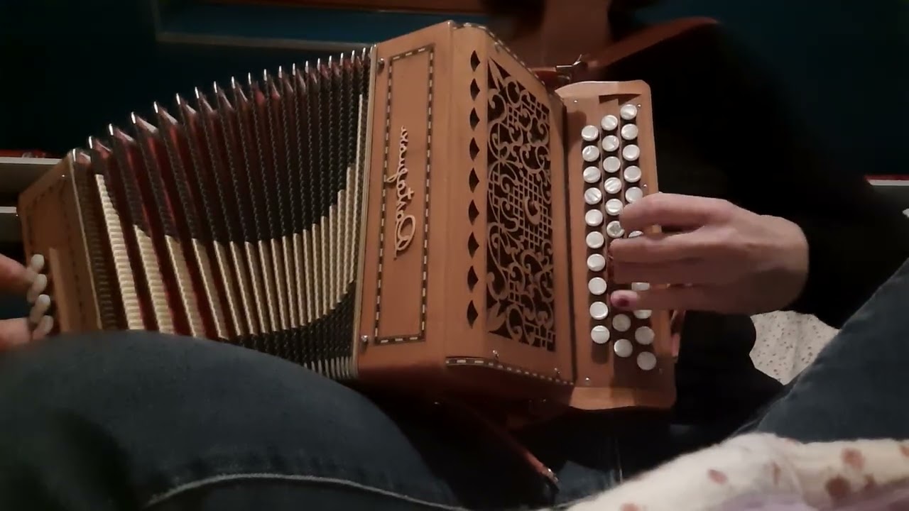 Valse de Brest - Yves Leblanc ( Reprise Accordeon diatonique)