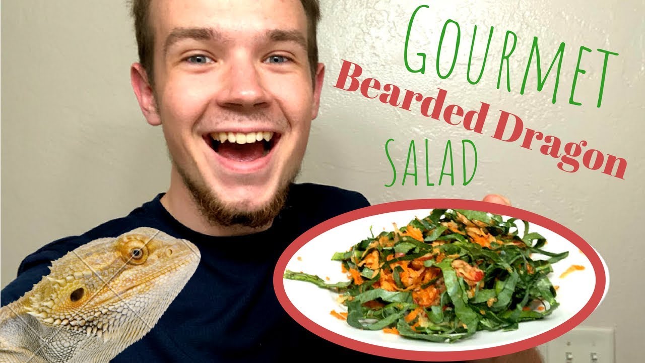 5 ways to make the BEST Bearded Dragon Salad