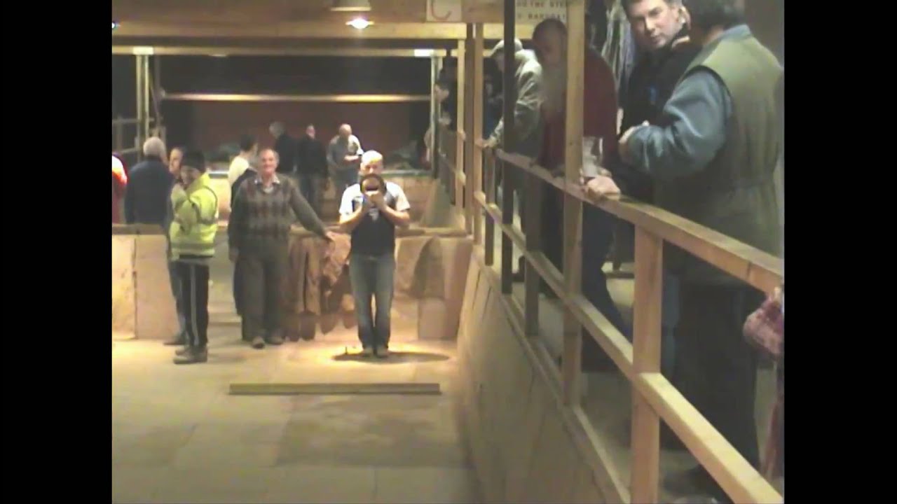 Indoor Quoits - Whitby