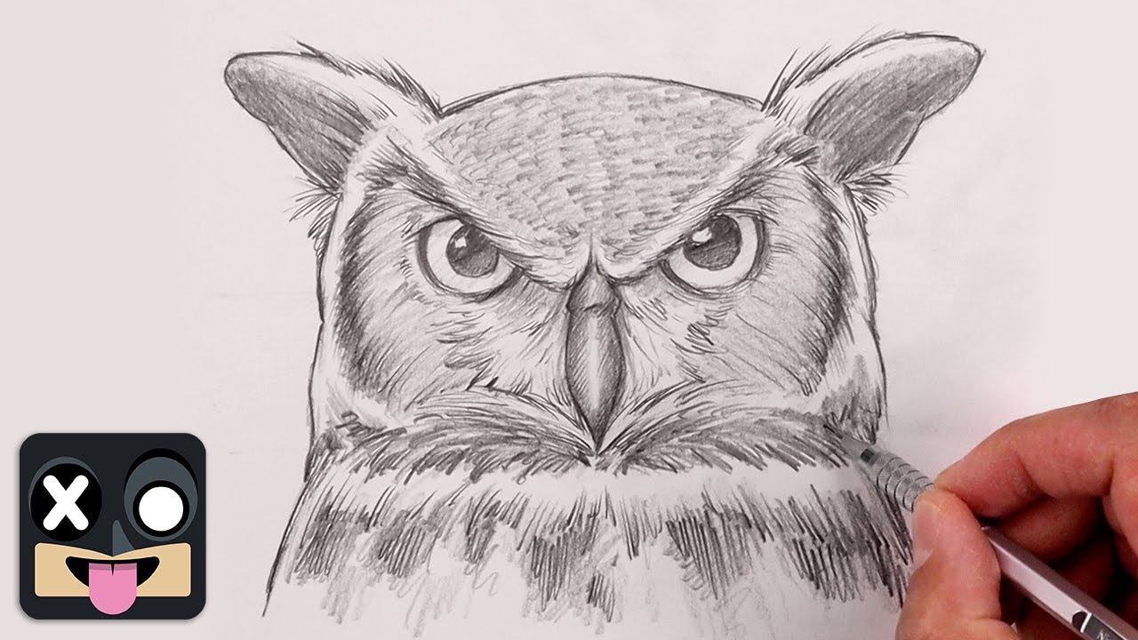 How To Draw Great Horned Owl | Sketch Tutorial
