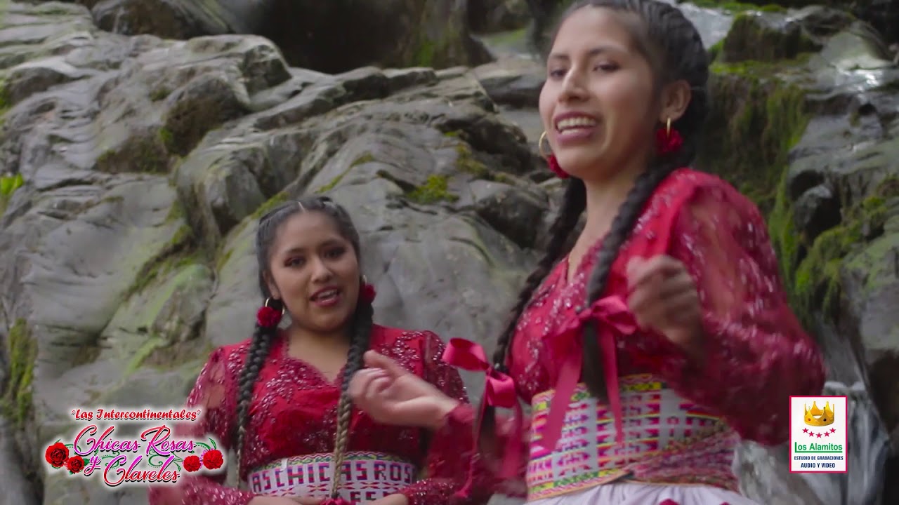 🌹🌹🌹CHICAS ROSAS Y CLAVELES - SOLO SOLITO 🌷🌷🌷PRIMICIA 2019