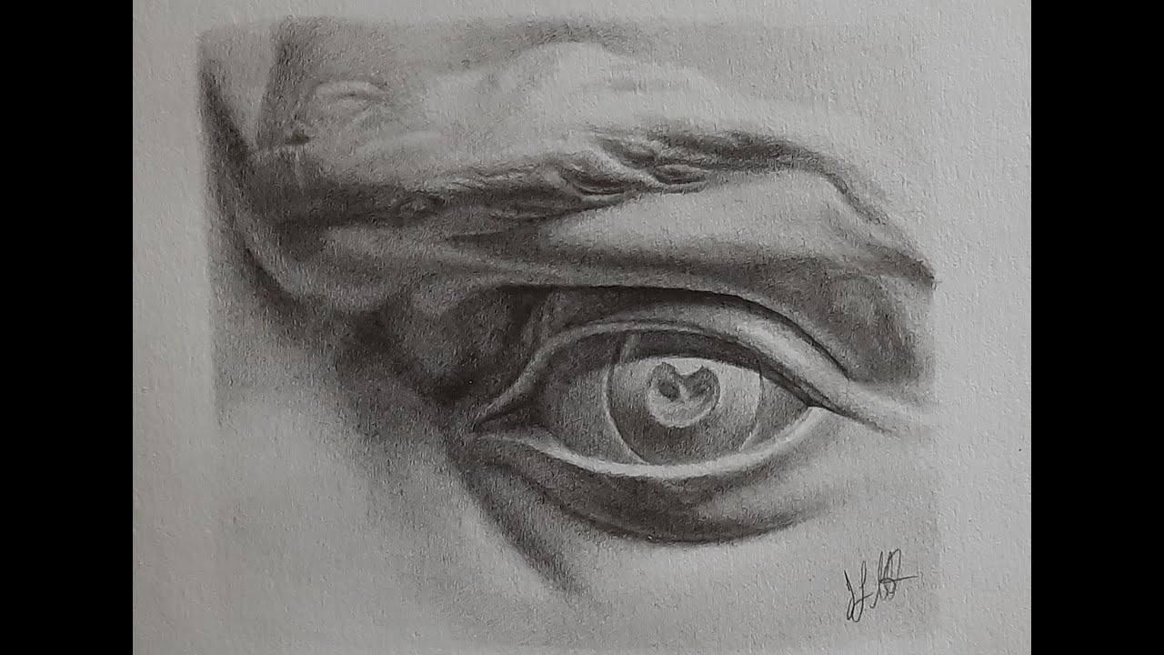 تعليم الرسم بالقلم الرصاص بدون تسييح