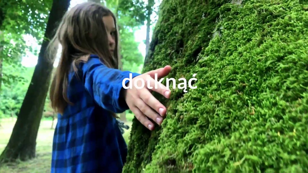 Kolumna
