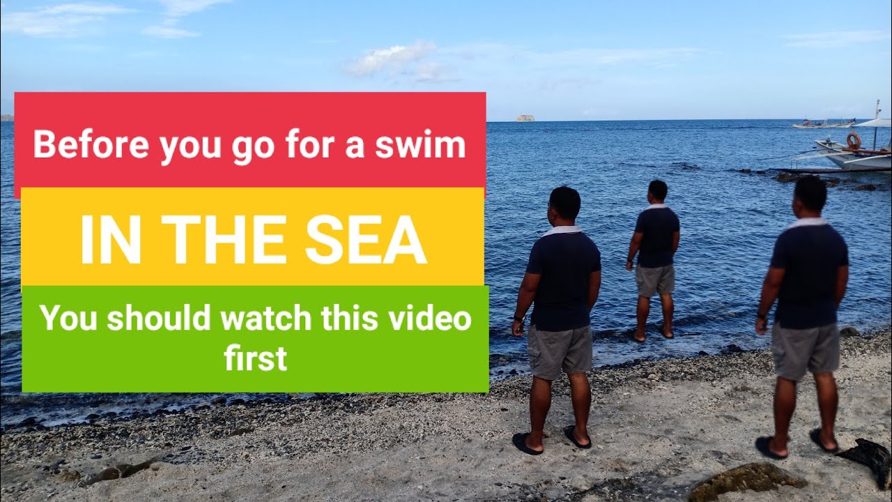 Before you swim [ IN THE SEA ] You should watch this video first