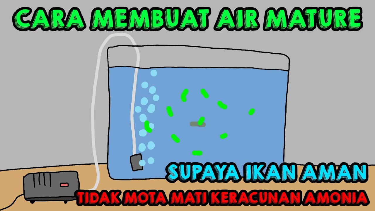 Cara membuat air MATURE [ANIMASI]