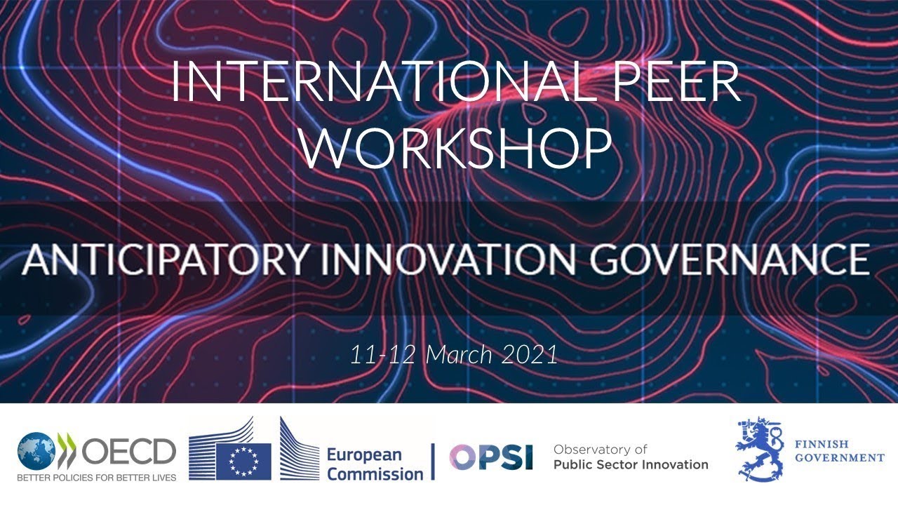 Governance Model | Anticipatory Innovation Governance Workshop Pt. 1