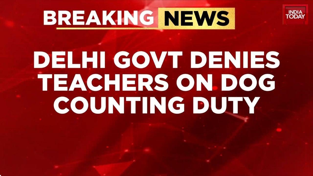 BREAKING | Delhi Govt Denies Reports of Teachers Being Deployed for Stray Dog Count