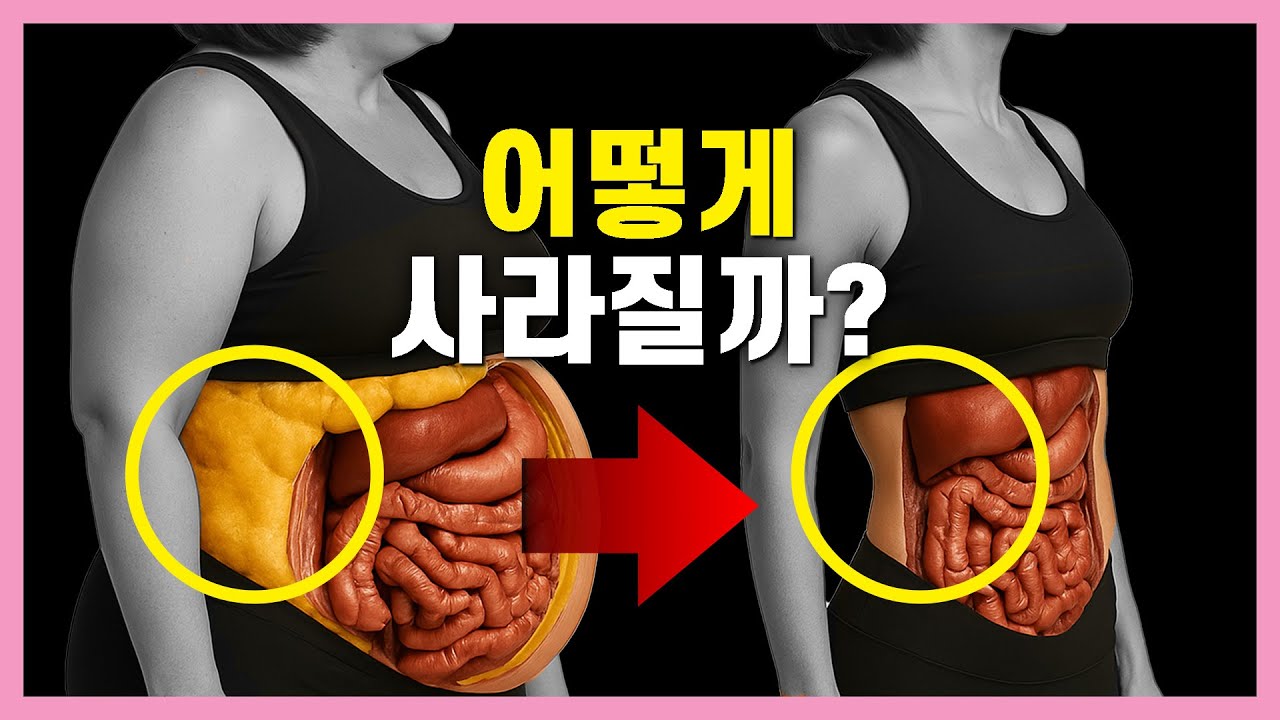 98% 모르는 지방 타는 원리! 이 원리 모르면 헛수고 입니다.