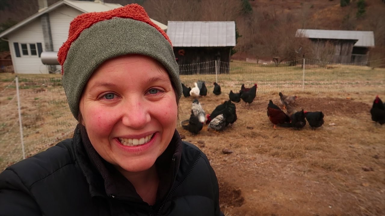 Our Morning Chores/Evening Chores - Goats and Chickens
