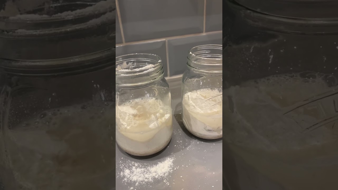 The Birth of Hubert- A Journey to Sourdough