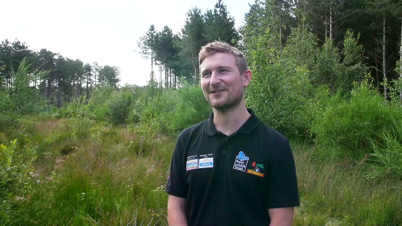 Meet the UK's First Bison Rangers - Tom Gibbs