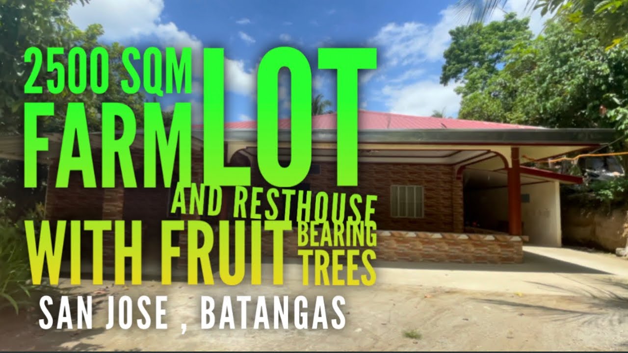 FOR SALE ❗️ 2500 SQM Residential Farm Property w/ Vacation House and Fruit Bearing Trees @nov9tv
