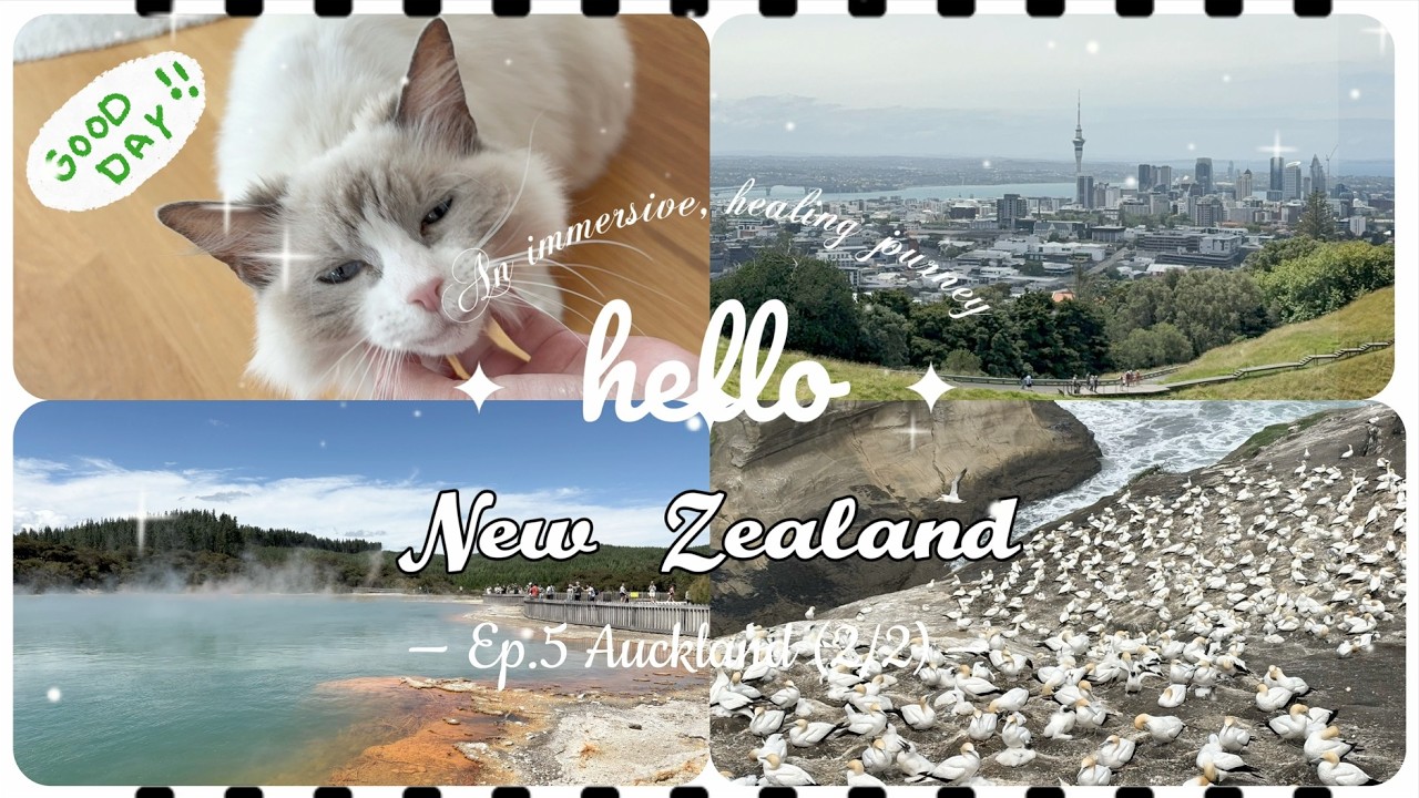 紐西蘭南北島治愈之旅最後一站 奧克蘭（下）｜Healing Journey in New Zealand Ep 5 Auckland (Part 2) 旅程完美結束 不捨得離開