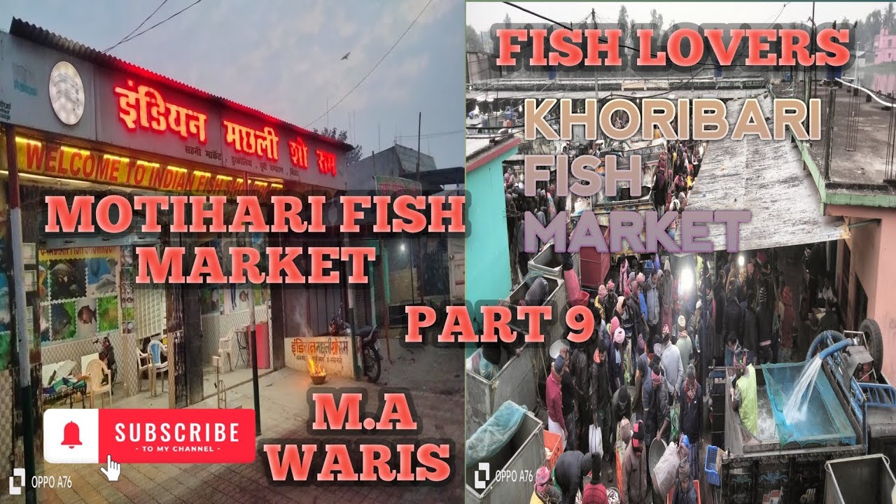 #Motihari Fish Market||मोतिहारी मछली मंडी||M.A waris