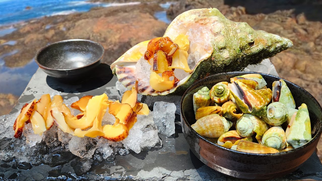超豪華なおつまみを素潜りして無料で作ってみたらヤバかった・・・