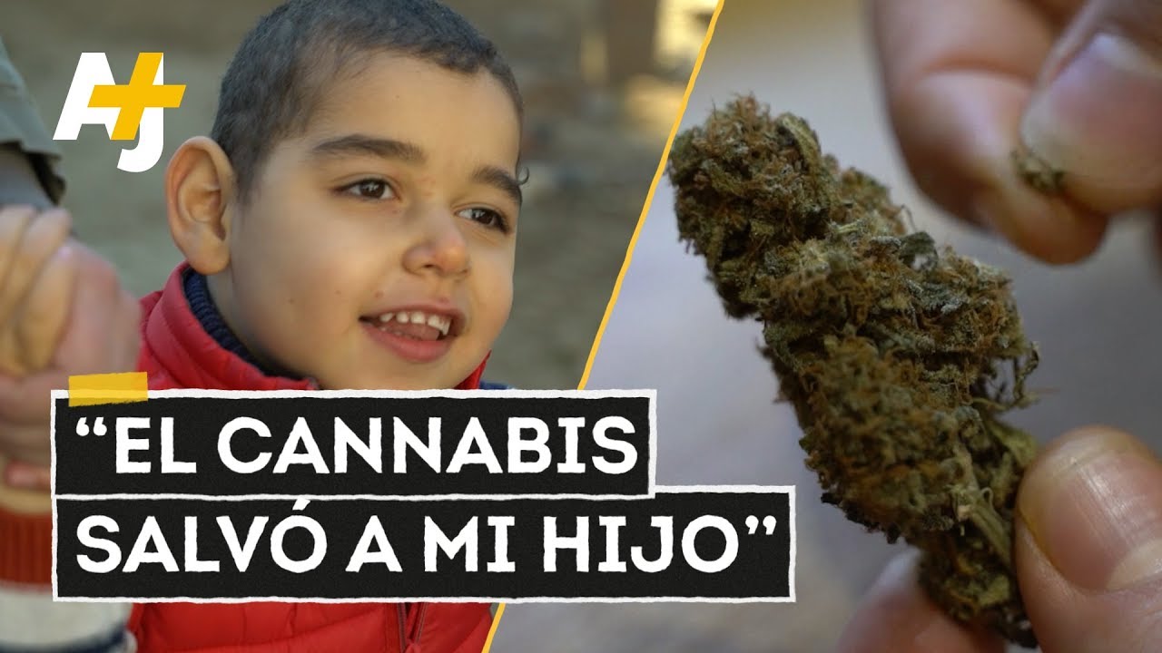 Cannabis medicinal: calidad de vida en la ilegalidad