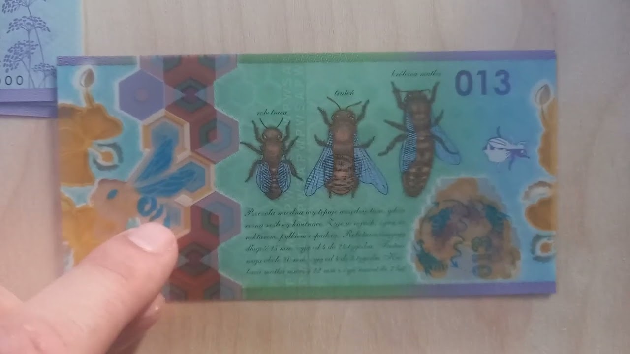 Banknot z pszczółkami:) Seria z PWPW. Testowe banknoty. Odmiany, opis, wartość. Kolekcjonerstwo