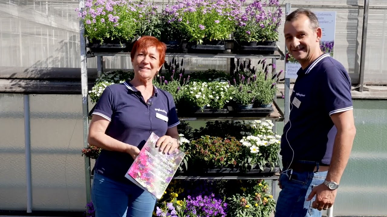 Calendar Colours | Syngenta Flowers 2023