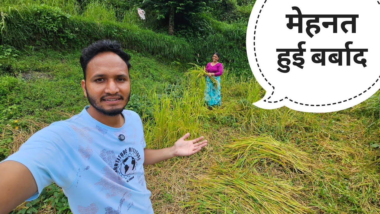 अब मेहनत करने का कोई फायदा नहीं || Pahadi Lifestyle Vlog || Pahadi Biker || Alok Rana