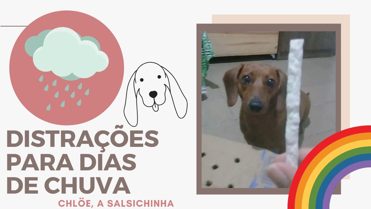 Como distrair seu cachorro em dias de CHUVA - Chl&ouml;e, a salsichinha #Teckel #Salsichinha #Dachshund